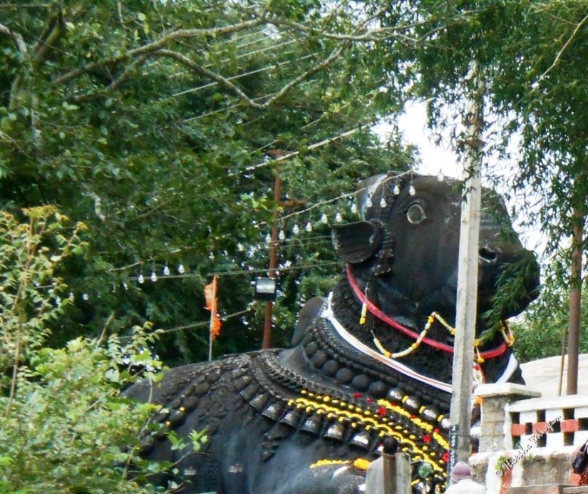 Statue of Nandi(The Bull)